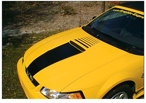 2000 Ford Mustang Hood