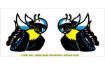 Picture of 1970 Dodge R/T Scat Pack Window Bee Decals Set - 2" Tall - Inside Application