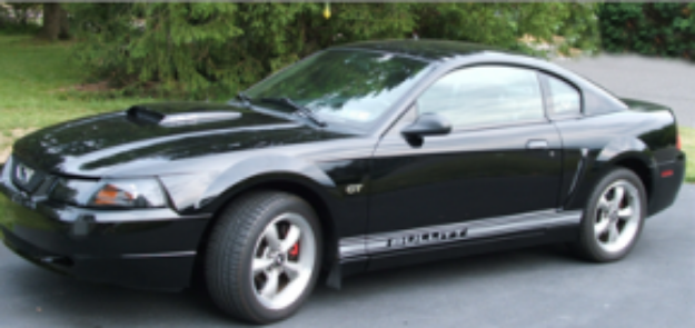 Picture of Mustang Lower Rocker Stripes - Boss Name