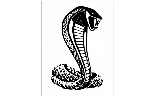 Picture of Ford Cobra 2 Snake Decal