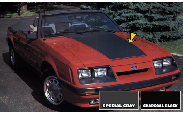 Picture of 1985-86 Mustang LX Hood Blackout Decal