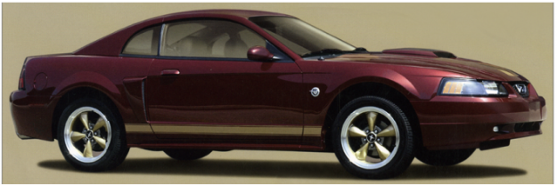 Picture of 2004 Mustang 40TH Anniversary Side Rocker Stripes