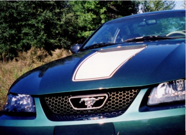 Picture of 1999-03 Mustang Square Nose Hood Decal with Pinstripe & GT Decals