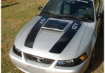 Picture of 1999-04 Mustang GT Dual Hood Stripe & Scoop Blackout