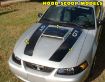 Picture of 1999-04 Mustang GT Dual Hood Stripe & Scoop Blackout