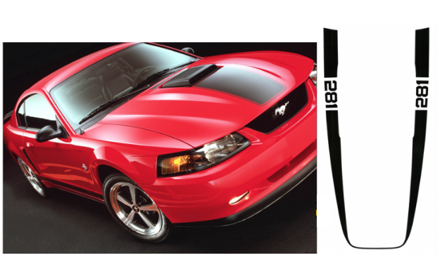 Picture of 2003-04 Mustang Mach 1 Wrap Around Stripe - 281 Name