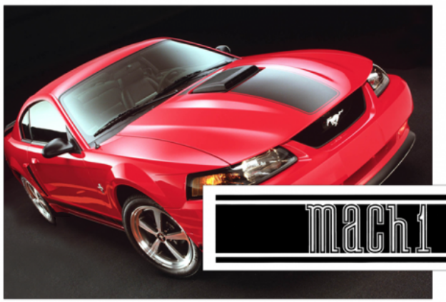 Picture of 2003-04 Mustang Mach 1 Lower Rocker Stripes - Mach 1 Name