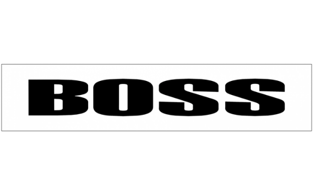 Picture of Mustang Boss Windshield Decal - 3.5" x 24"