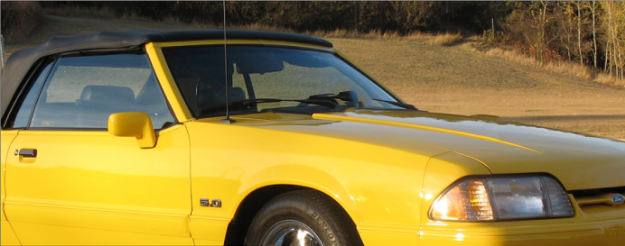 Picture of 1987-93 Mustang Hood Cowl Stripe Set - LX Designation