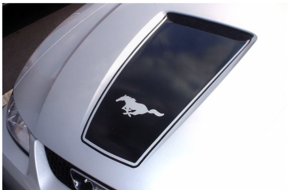 Picture of 1999-03 Mustang Square Nose Hood Decal with Pinstripe & Pony Cutout