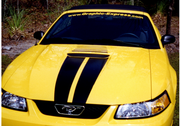 Picture of 1999-03 Mustang Dual Hood Stripe Kit with Fader - Flat Hood