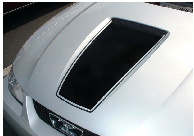 Picture of 1999-03 Mustang Square Nose Hood Decal with Pinstripe - Flat Hood