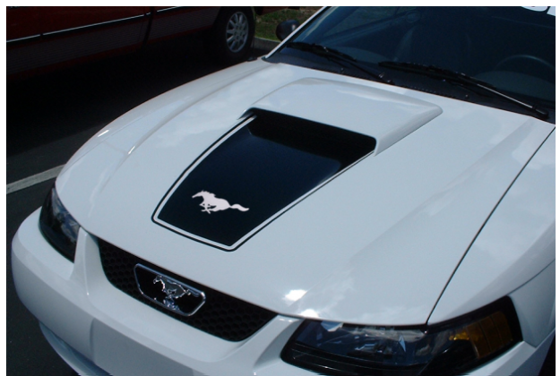 Picture of 1999-04 Mustang Square Nose Hood Decal with Pinstripe & Pony Cutout