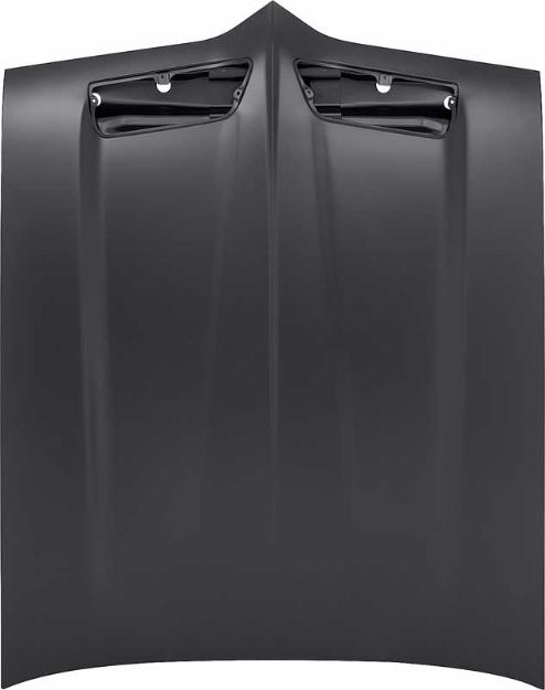 Picture of 1969 Firebird/Trans-Am Steel Hood 