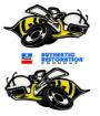 Picture of 1971 Dodge Charger Super Bee Quarter Panel Bees Decal  (set of two)