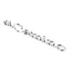 Picture of 1968-1969 El Camino Rear Quarter Emblem, “El Camino”, Sold as a Pair