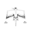Picture of 1969 Firebird Rear Quarter Lamp Bezel, Sold as a Pair