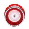 Picture of 1965 Chevrolet Impala Back Up Light Lens, Sold as Each