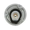 Picture of 1968 Corvette Inboard Tail Light Lens Housing, Sold as Each